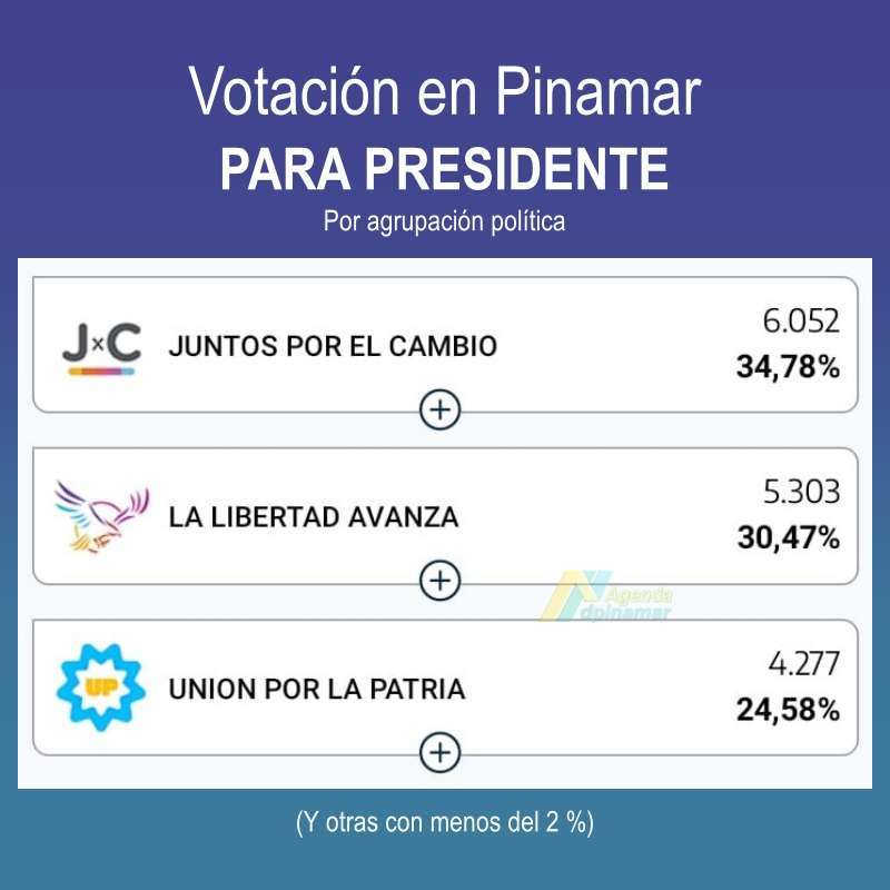 elecciones pinamar presidente