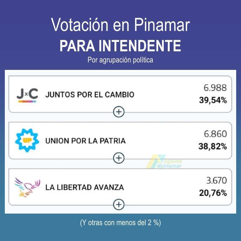 elecciones pinamar
