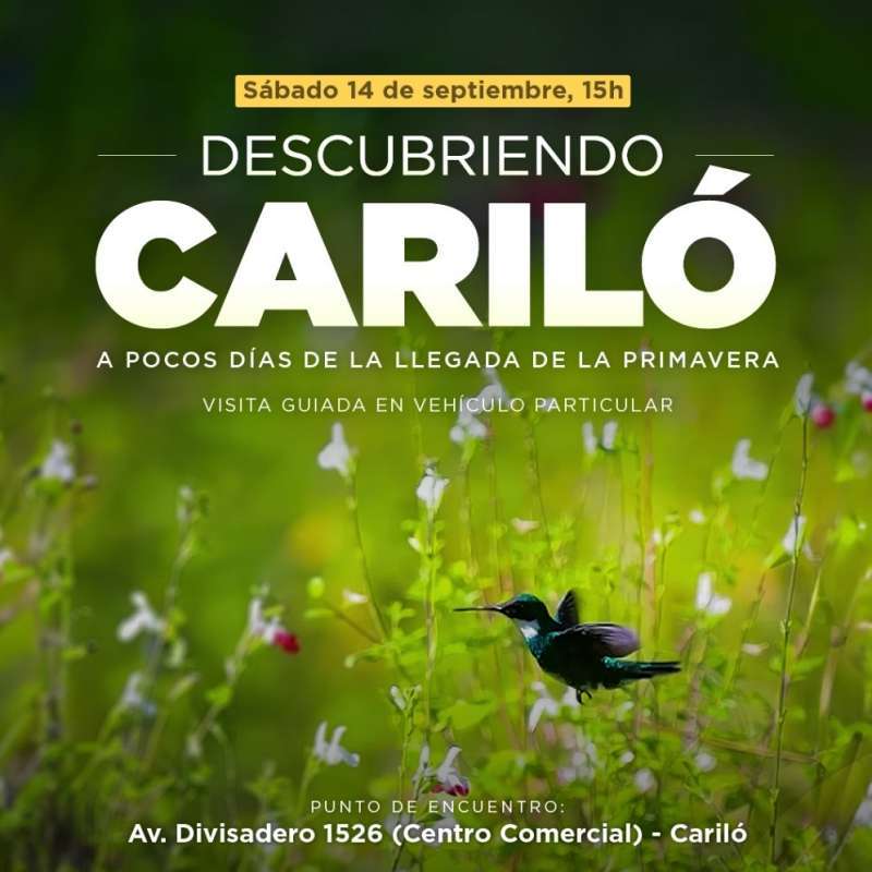 Descubriendo Cariló visita guiada descubriendo carilo