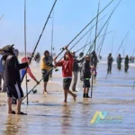 Fiesta de la Pescadilla 2025 en Pinamar