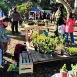 Encuentro de semillas y saberes en Pinamar