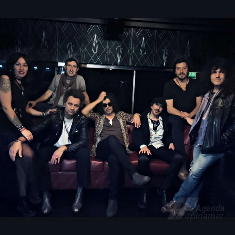 zorrito y los gustocks