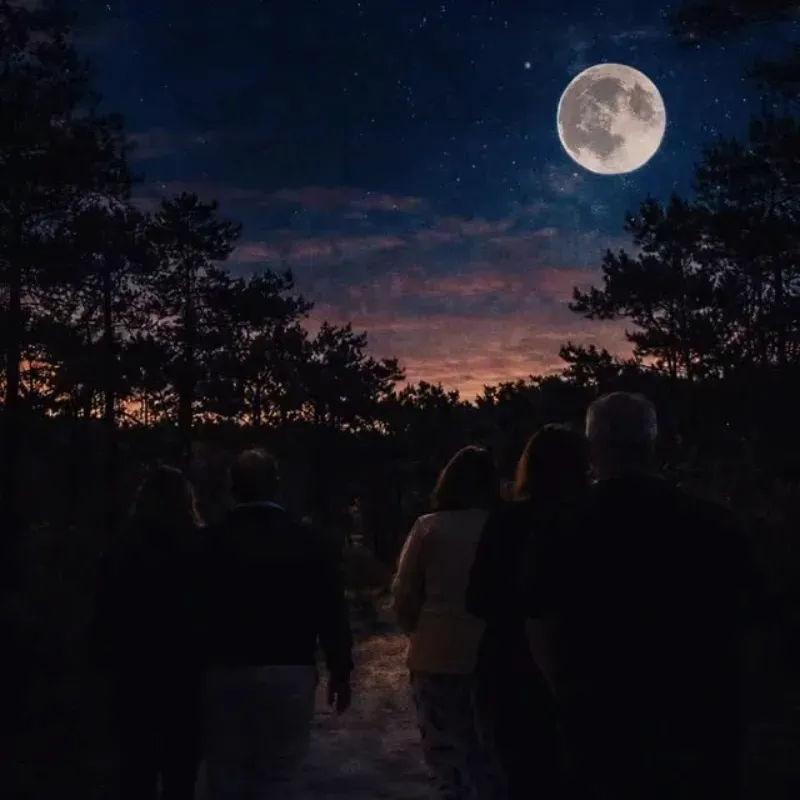 Experiencia nocturna en el Parque de los Pioneros
