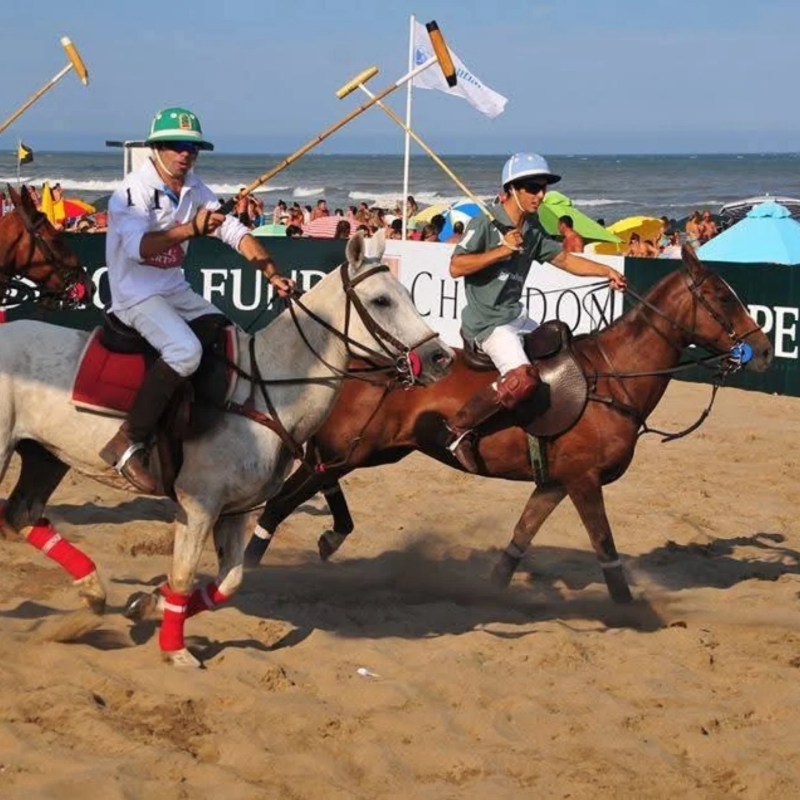 beach polo en pinamar 2026