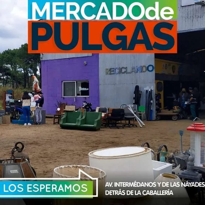 Mercado de Pulgas