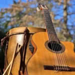 Día del Folklore Argentino