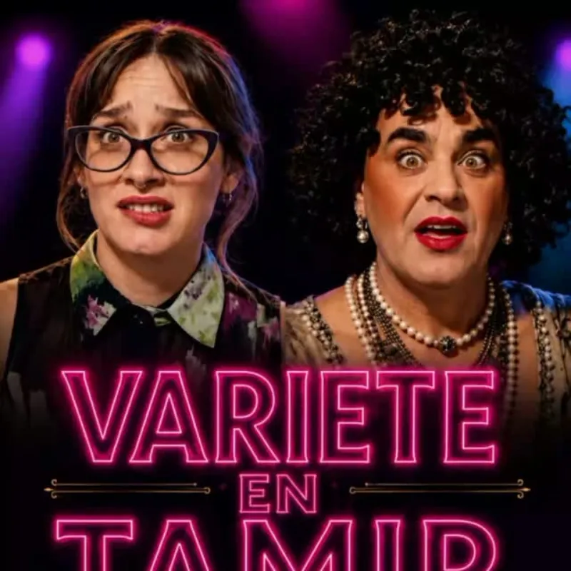 variete teatro breve el humor salva