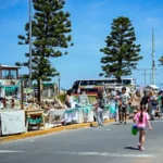 El mercado Raíces vuelve en edición especial