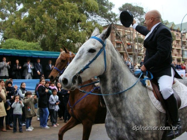 bicentenario_517_ed_ed