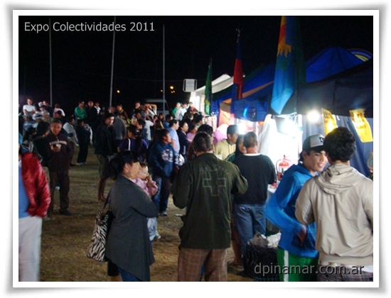 colectividades_05