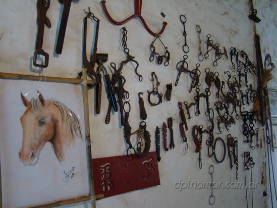 cultura-madariaga-01_dp