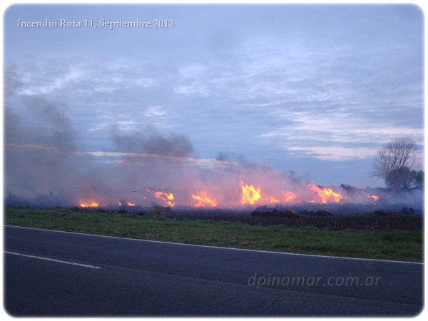 pinamar-incendio-mdajo_03