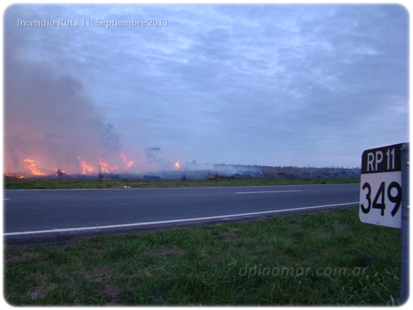 pinamar-incendio-mdajo_04